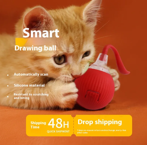 Pet Supplies