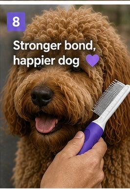 Stainless Steel Pet Detangling Comb— Dual Tooth Groomer